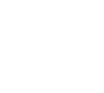 Down to Earth Flowers + Gifts