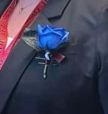 Twin Peaks Blue Rose Pin-on