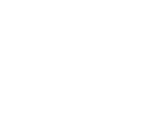 Down to Earth Flowers + Gifts