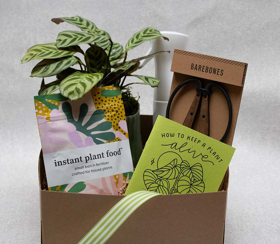 Plant Lover Gift Box