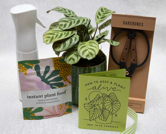 Plant Lover Gift Box